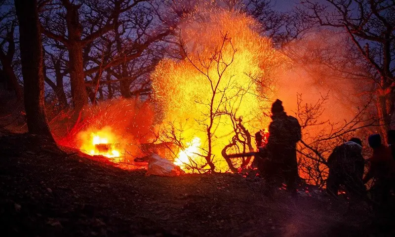 Smoke rising over Hyrcanian forests in northern Iran during wildfire.