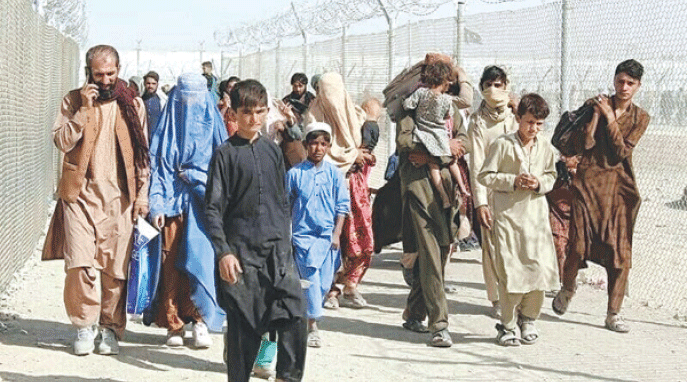 Afghan refugees in Pakistan appeal to the US to resume P1/P2 evacuation programme amid rising deportations.